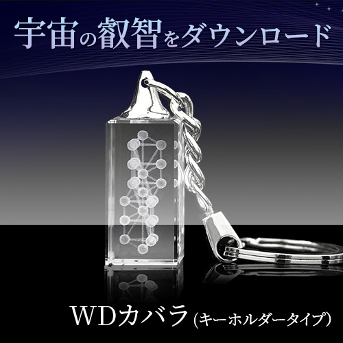 【上級呪物】カバラ『生命の木』・神秘体験を与える聖なるペンダント PETER STONE ツリーオブライフ（生命の樹） シルバー ペンダント