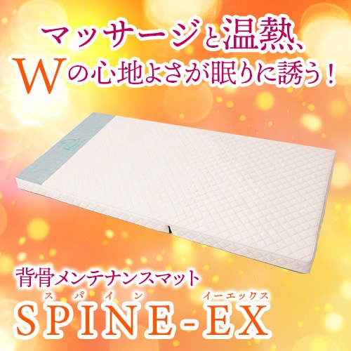 SPINE-EX�ʥ��ѥ��󥤡����å�����