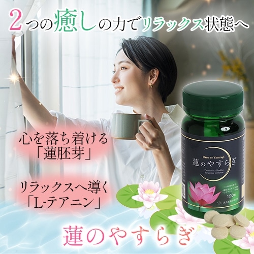 ϡΤ䤹餮 120γ