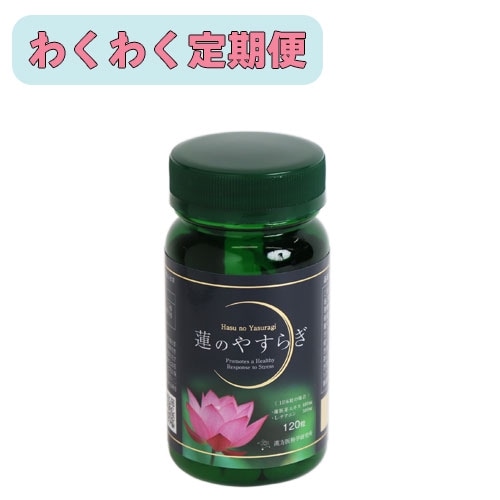 �ڤ勞�勞����ء�ϡ�Τ䤹�餮 120γ��