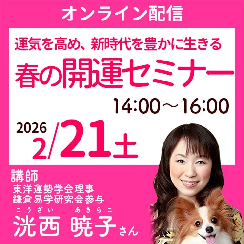 2/21 ޫ���ǻҤ���ڥ���饤���ۿ���