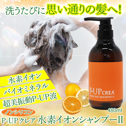 P-UP ���쥢 ���ǥ����󥷥��ס�II 480ml