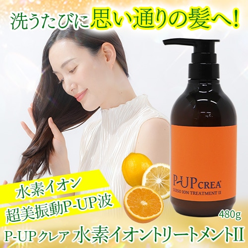 P-UP ���쥢 ���ǥ�����ȥ꡼�ȥ���II 480g