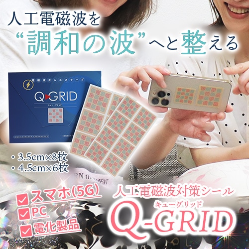 Q-GRID�ʥ��塼����åɡ�