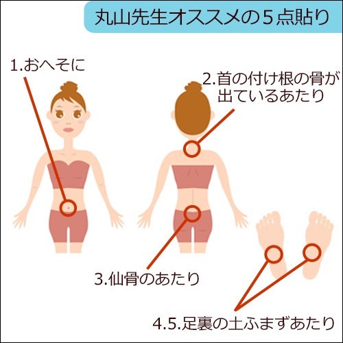 �ݻ��������� �֥�å�����(2������)