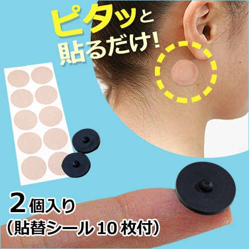 �ݻ��������� �֥�å�����(2������)