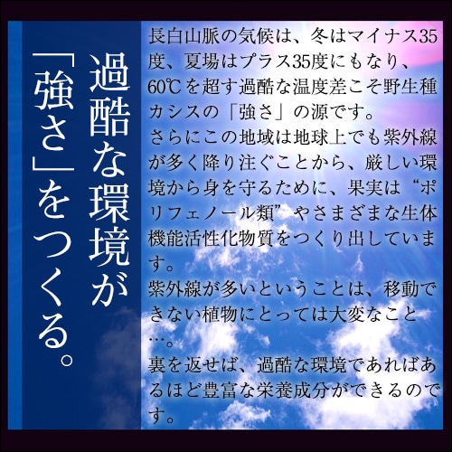 ����Υ�������(6g��30����)