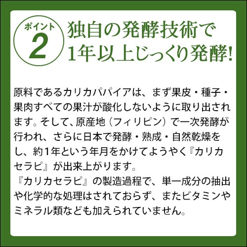 ꥫSAIDO-PS501(3g100)