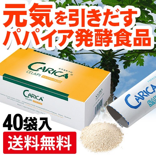 ꥫSAIDO-PS501(3g40)