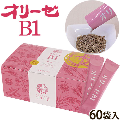 ���꡼��B1(60������)�ʵ쾦��̾�����꡼��������ɡ�