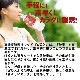 ���ǿ�ù�ǻ�ٻ��ǥꥭ�åɡ�WOX(�����å���)��500ml��24��