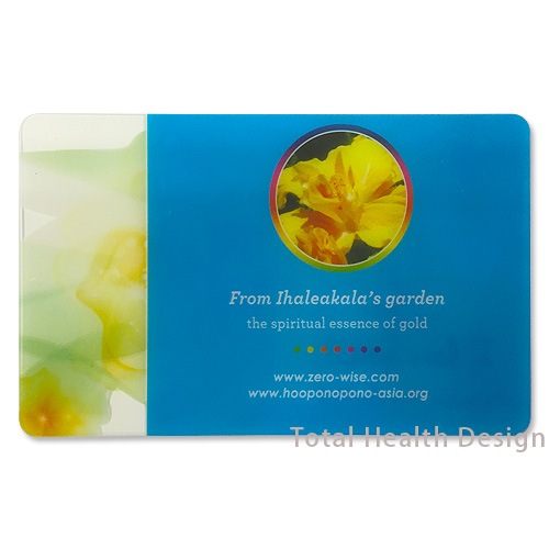 ۡݥΥݥΡCeeport֥륤ϥӥ