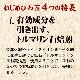 ͤӤ (300)ʡ