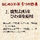 ͤӤ (300)ʡ