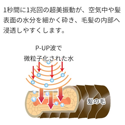 P-UP å֥饷