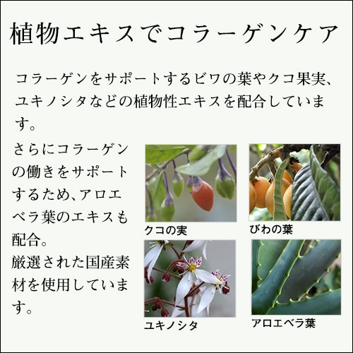 ƥε⥤㡼꡼ࡡݥƴ&إѥ 400g