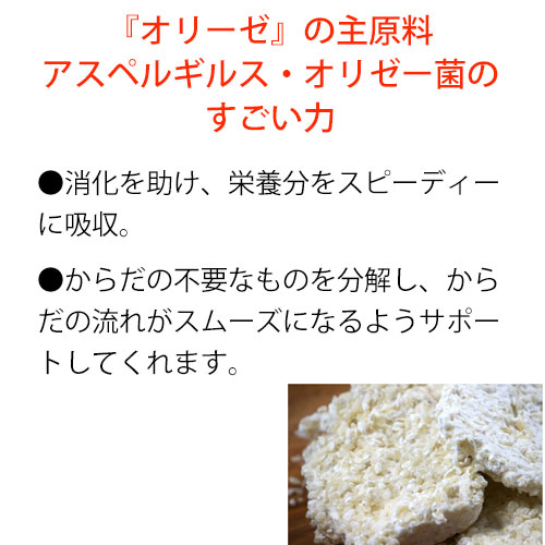 ���꡼��210(60������)