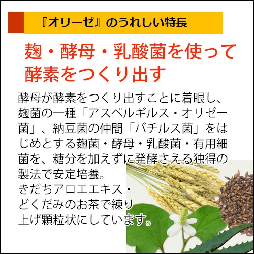 ���꡼��210(60������)