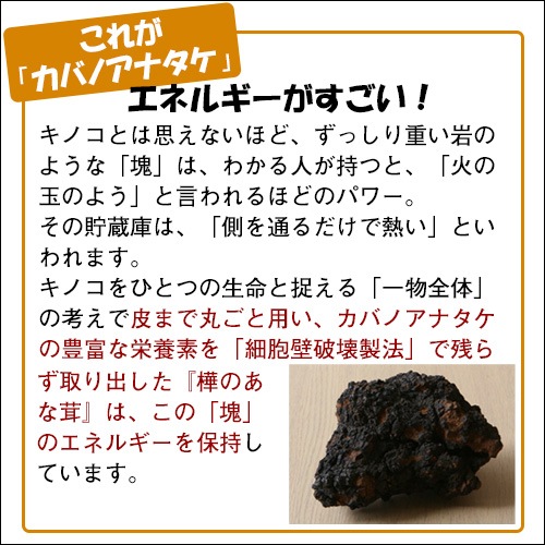 樺のあな茸 ゴールドブレンド(7包入)｜トータルヘルスデザイン公式