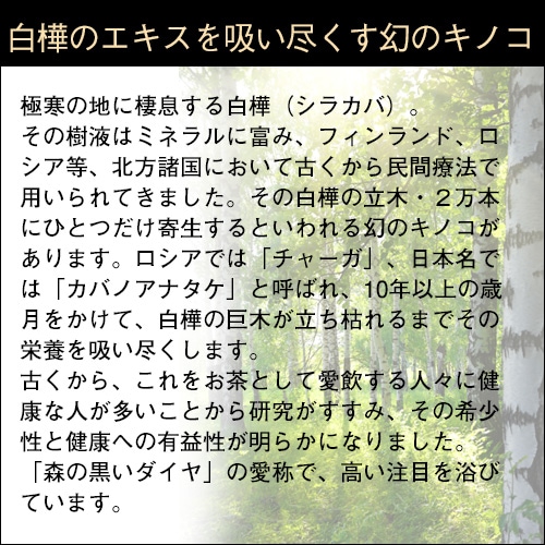 樺のあな茸 ゴールドブレンド(7包入)｜トータルヘルスデザイン公式