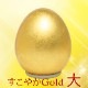 䤫 ݥåGold ŵդ