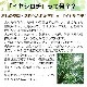 䤫 ݥåGold ŵդ