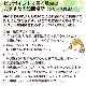 䤫 ݥåGold ŵդ