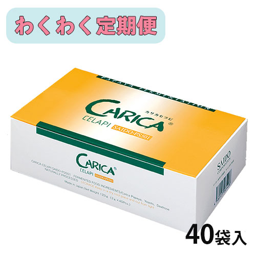 �ڤ勞�勞����ءۥ��ꥫ�����SAIDO-PS501��(3g��40��)