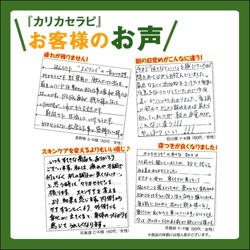 �ڤ勞�勞����ءۥ��ꥫ�����SAIDO-PS501��(3g��40��)