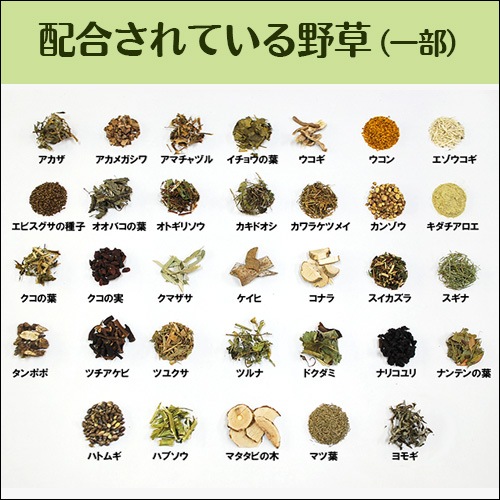 野草に学ぶ健康法 野草研究科 標ヒロ著 現代書林 草の気に癒され