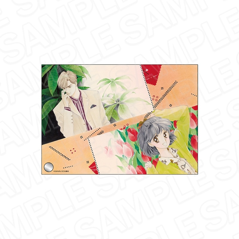 彼方から」アニメ化記念再販】ひかわきょうこ作品 商品一覧｜THEキャラ