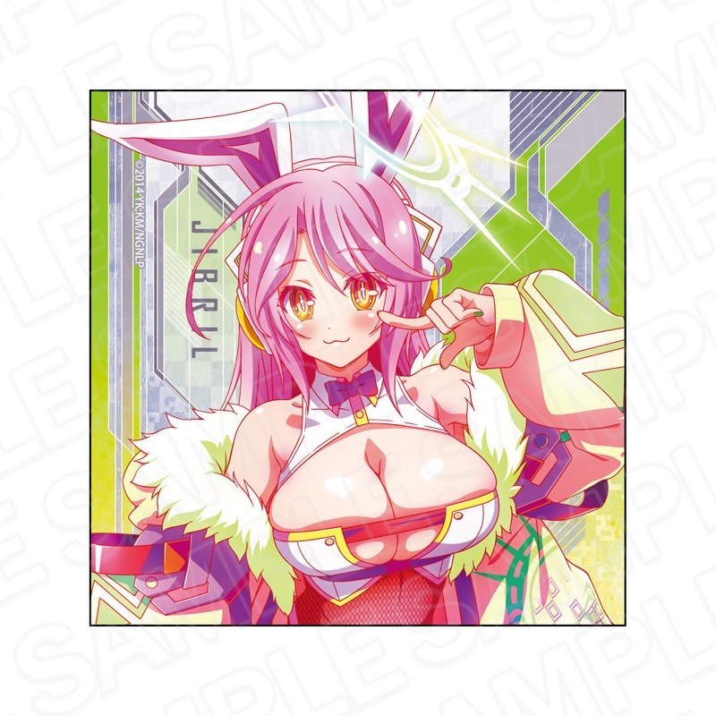 予約受付2/20まで】ノーゲーム・ノーライフ マイクロファイバー