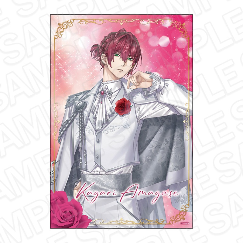 イケメン王子 カガリ デカブロマイド イケメン王子 カガリ