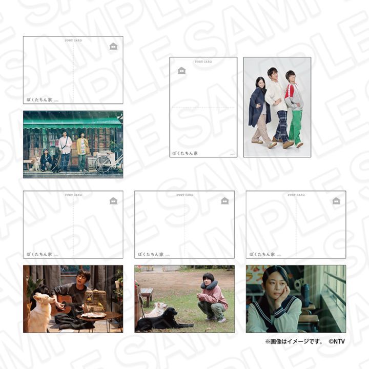 【先行予約】「ぼくたちん家」　ポストカードセット【2026年1月中旬～2月上旬以降順次発送】