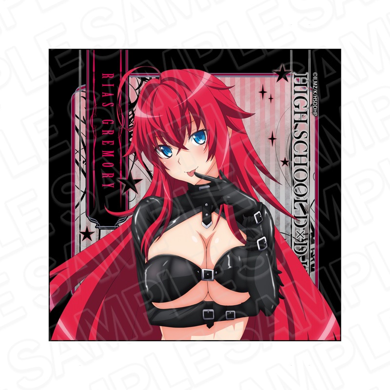 【予約受付3/19まで】TVアニメ『ハイスクールDxD HERO』　マイクロファイバー　リアス・グレモリー　ボンテージ ver.【2026年5月中旬頃発売】