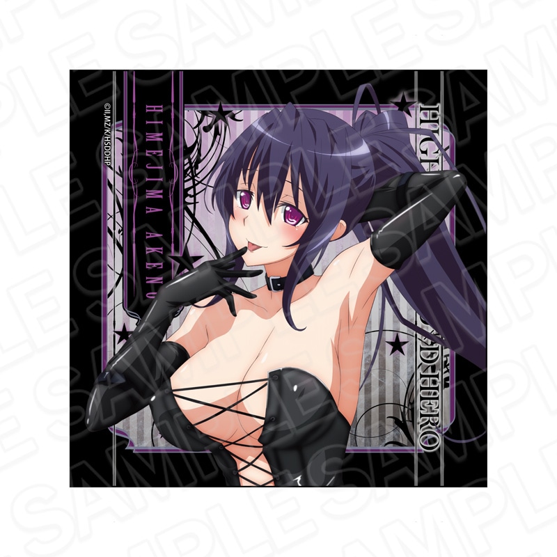 【予約受付3/19まで】TVアニメ『ハイスクールDxD HERO』　マイクロファイバー　姫島朱乃　ボンテージ ver.【2026年5月中旬頃発売】