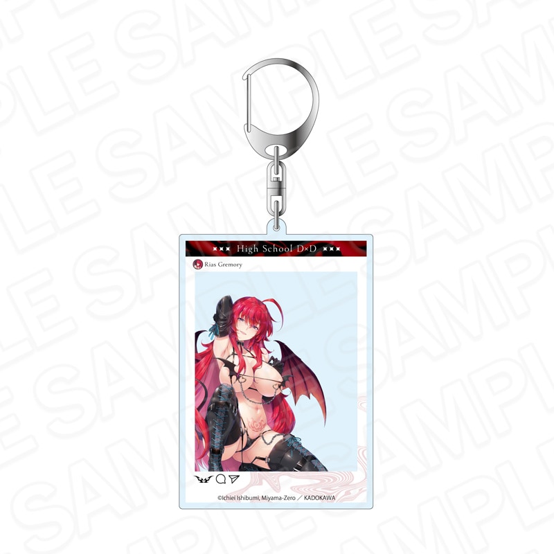 【予約受付8/20まで】ハイスクールD×D　SNS風アクリルキーホルダー　リアス・グレモリー　サキュバス&シスター ver.【2026年10月中旬頃発売】