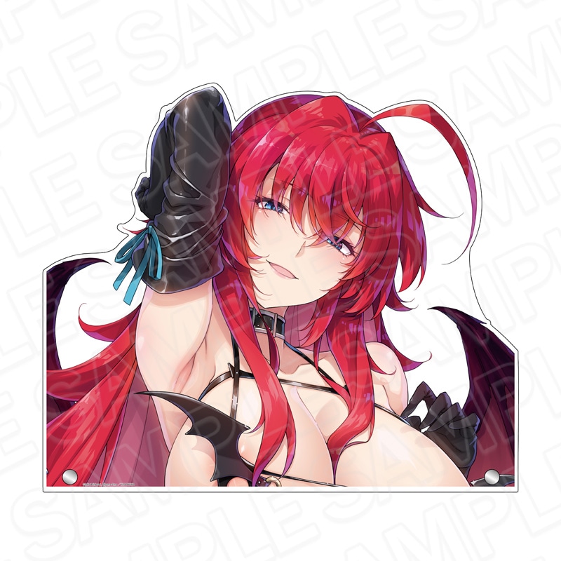 【予約受付8/20まで】ハイスクールD×D　特大ダイカットアクリルボード　リアス・グレモリー　サキュバス&シスター ver.【2026年10月中旬頃発売】