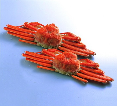 【産地取り寄せ商品】ボイルずわいがに姿 2尾｜お買い得 カニ 蟹（送料別）(n)