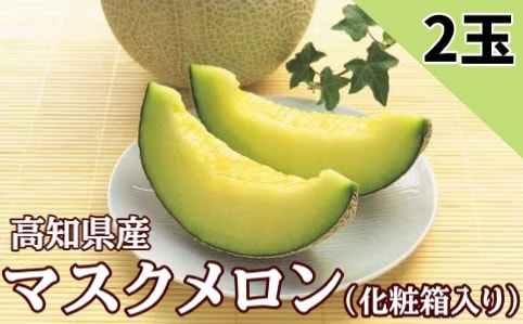 【限定クーポン対象商品】◆【産地取り寄せ商品】【2026年9月14日以降順次出荷】高知県産 マスクメロン 2玉(化粧箱入り)A| (西島園芸団地)(送料別)