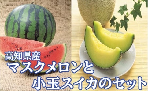 【限定クーポン対象商品】◆【産地取り寄せ商品】【2026年9月14日以降順次出荷】高知県産 マスクメロンと小玉すいかのセット (西島園芸団地) (送料別)(n)