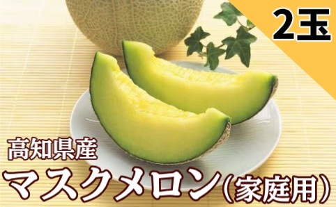 【限定クーポン対象商品】◆【産地取り寄せ商品】【2026年9月14日以降順次出荷】高知県産 ご家庭用 マスクメロン 2玉 (西島園芸団地)| メロン マスクメロン 2玉セット 果物 スイーツ 高知 高知県産 西島園芸団地(送料別)(n)