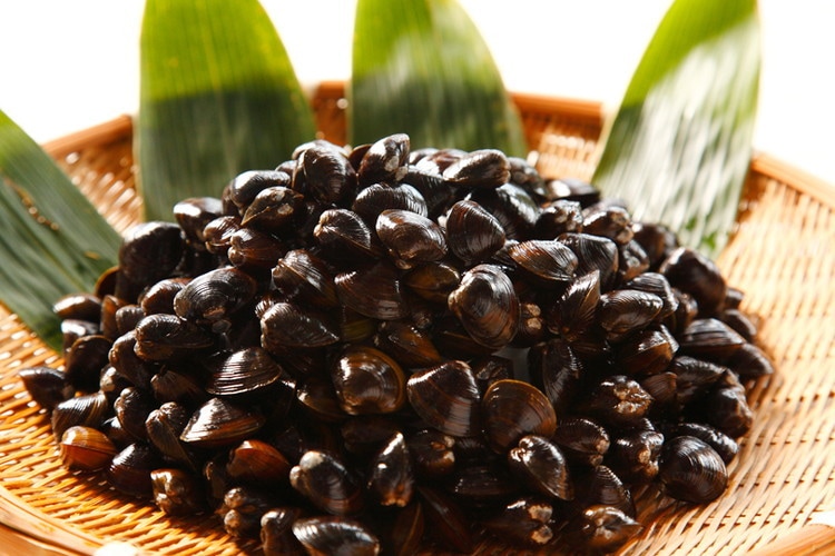 【限定クーポン対象商品】【産地取り寄せ商品】大和しじみ L(冷凍)業務用 1kg 小川原湖漁業協同組合｜24209｜（送料別）(n)