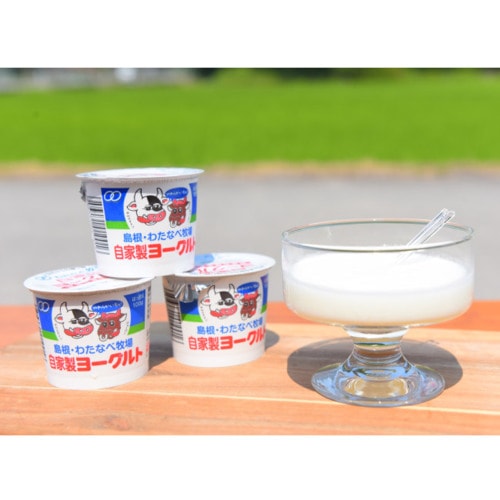 【産地取り寄せ商品】【牧場直送】わたなべ牧場 ヨーグルト 100g×12個・自家製ヨーグルト 乳製品 （送料別）(n)