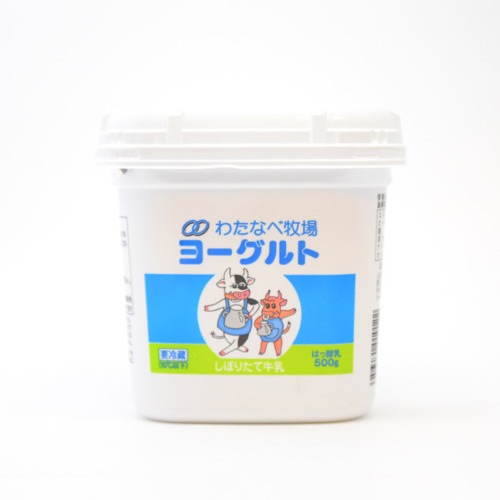 【産地取り寄せ商品】【牧場直送】わたなべ牧場 ヨーグルト無糖 500g×6個 乳製品 （送料別）(n)