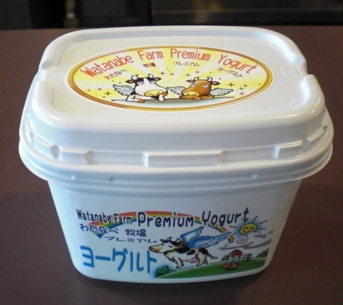 【産地取り寄せ商品】【牧場直送】わたなべ牧場 プレミアムヨーグルト 450g×6個 乳製品 （送料別）(n)