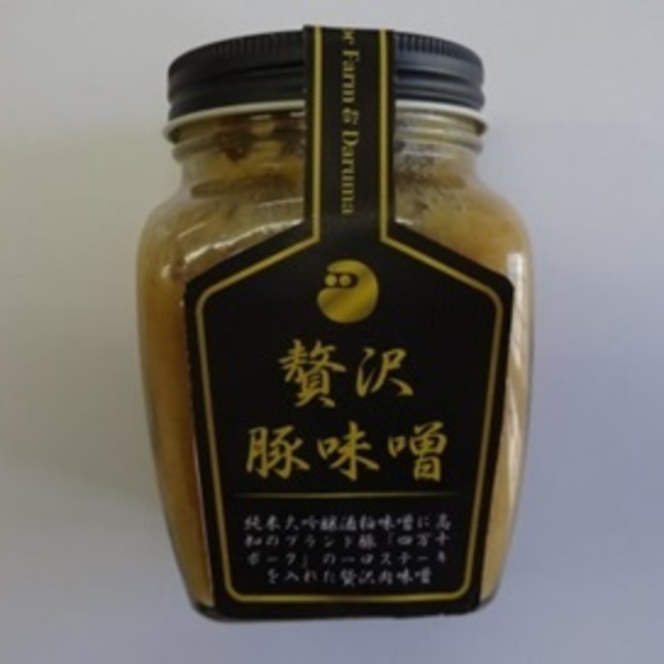 【産地取り寄せ商品】お肉がゴロゴロ だるまみそ 贅沢豚味噌 高知 肉 味噌 みそ 豚｜57159｜（送料別）(n)