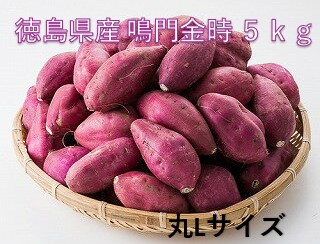 ◆【産地取り寄せ商品】徳島県産 鳴門金時 5kg 丸Lサイズ さつまいも(n)
