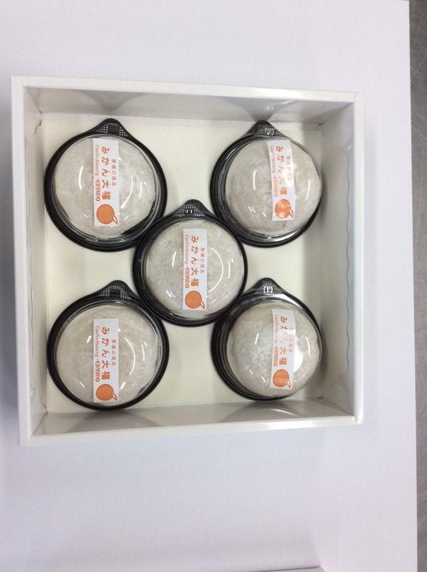 【産地取り寄せ商品】永久堂 みかん大福 5個入り（送料別）(n)