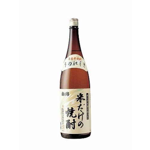 【産地取り寄せ商品】梅錦山川 梅錦 米だけの焼酎 1.8L（送料別）(n)